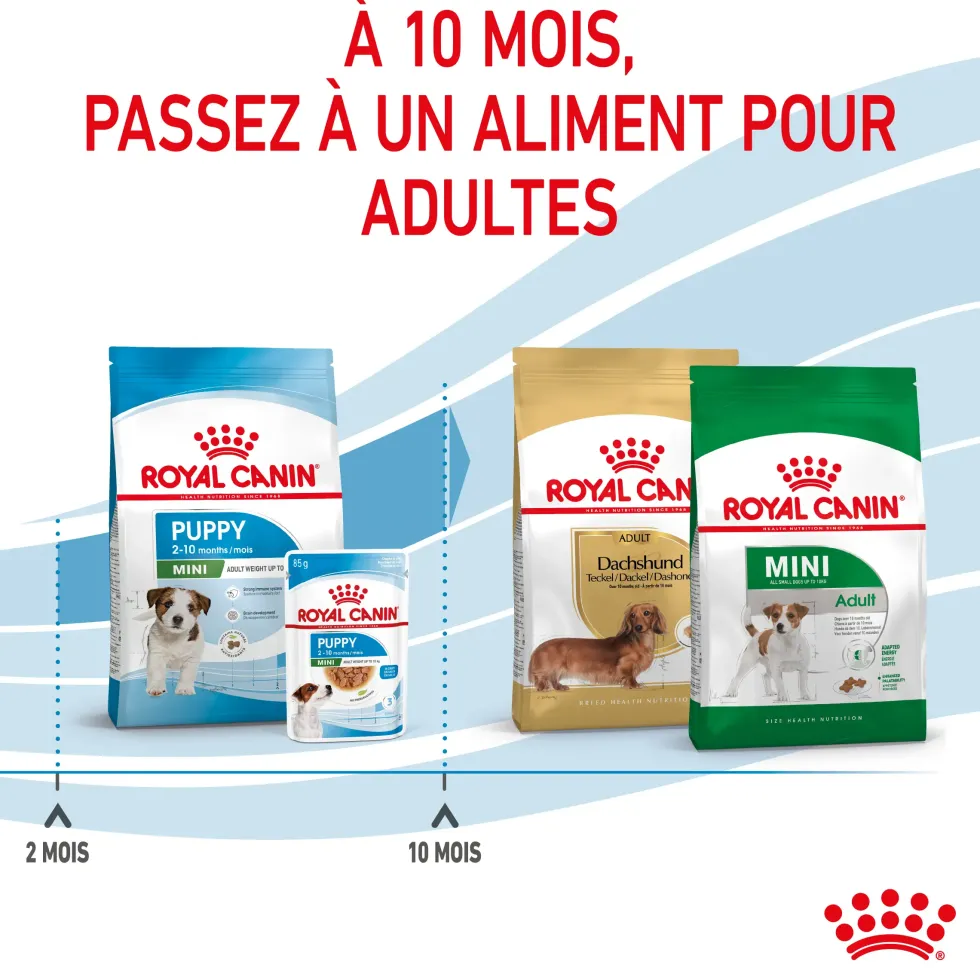 Croquettes pour chiot de petite race Royal Canin Mini Puppy - 4 kg