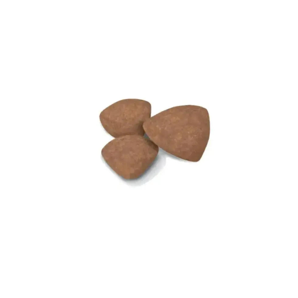 Croquettes pour chiot de petite race Royal Canin Mini Puppy - 2 kg