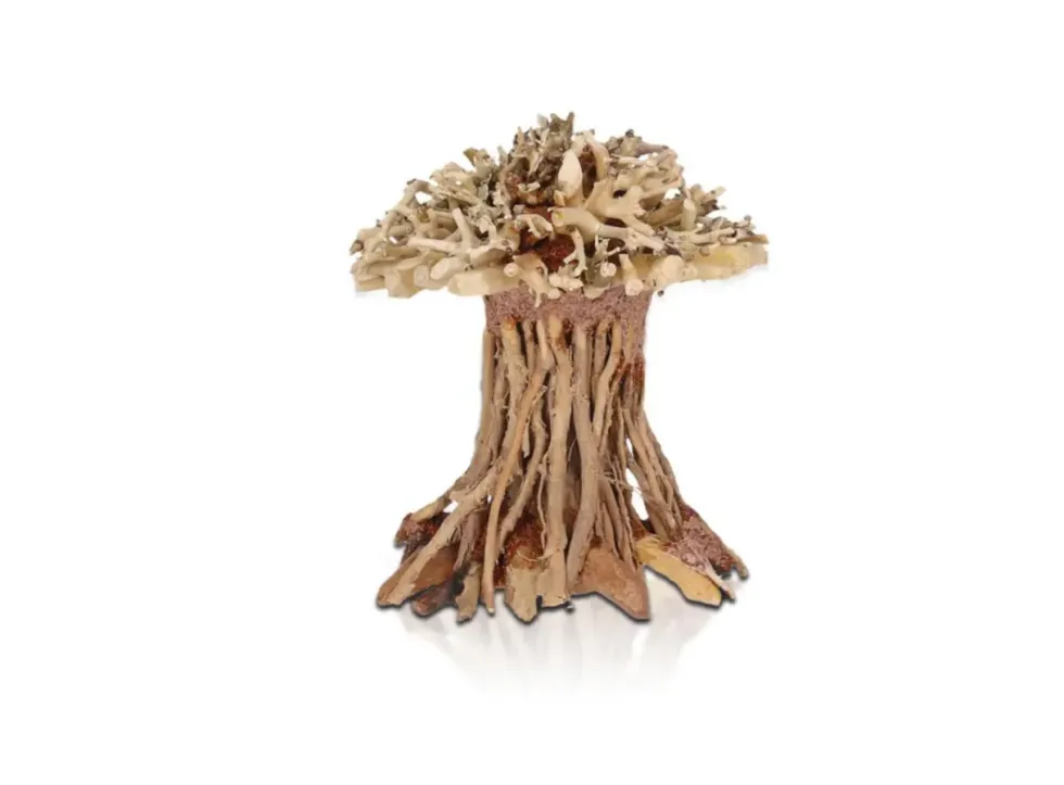 Décor pour aquarium coloris marron Aquavie Three Forêt SPM - 13 x 13 x 9 cm