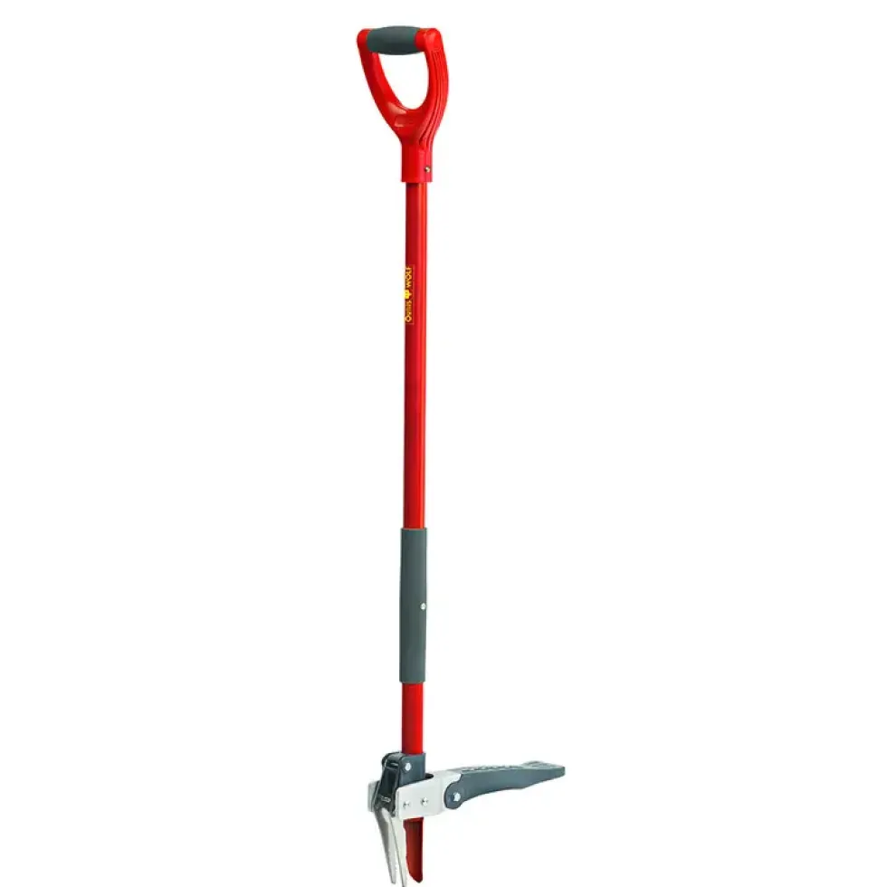 Echardonnoir rouge Wolf 87 cm