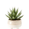 Echeveria artificielle vert et rouge en pot décoratif - Ø 17 x H 20 cm