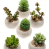 Ensemble de 6 petites plantes grasses artificielles en pot - Ø 6,5 x 6,5 cm