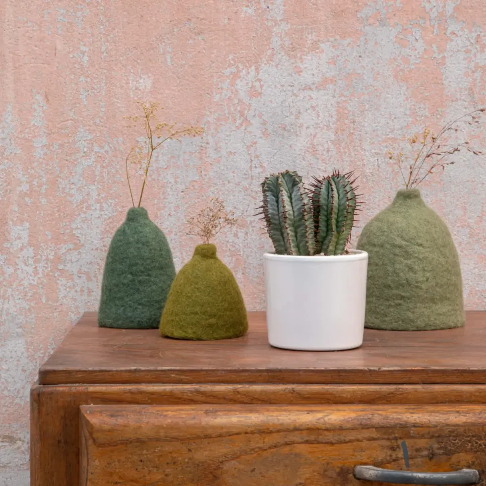Euphorbia en pot blanc émaillé H 10 x Ø 10 cm