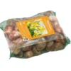 Filet de narcisse botanique botanic® - 100 bulbes