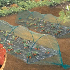 Filet de protection anti-oiseaux coloris noir 2x10 m