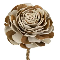 Fleur de sola bicolore beige et rose - Ø 12 x H 65 cm
