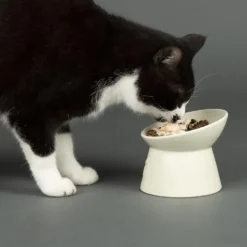 Gamelle surélevée pour chat Scruffs coloris beige