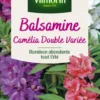 Graines de Balsamine Camélia double variée Vilmorin - graines à semer