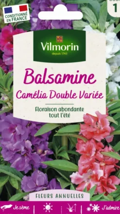 Graines de Balsamine Camélia double variée Vilmorin - graines à semer