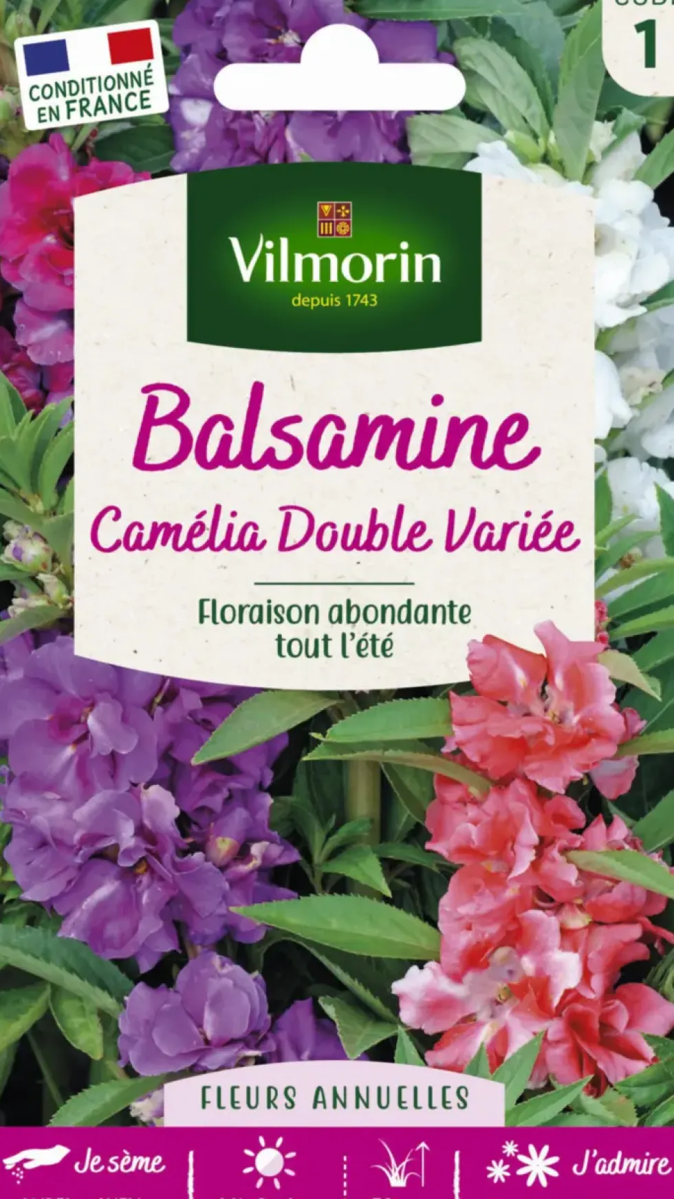 Graines de Balsamine Camélia double variée Vilmorin - graines à semer