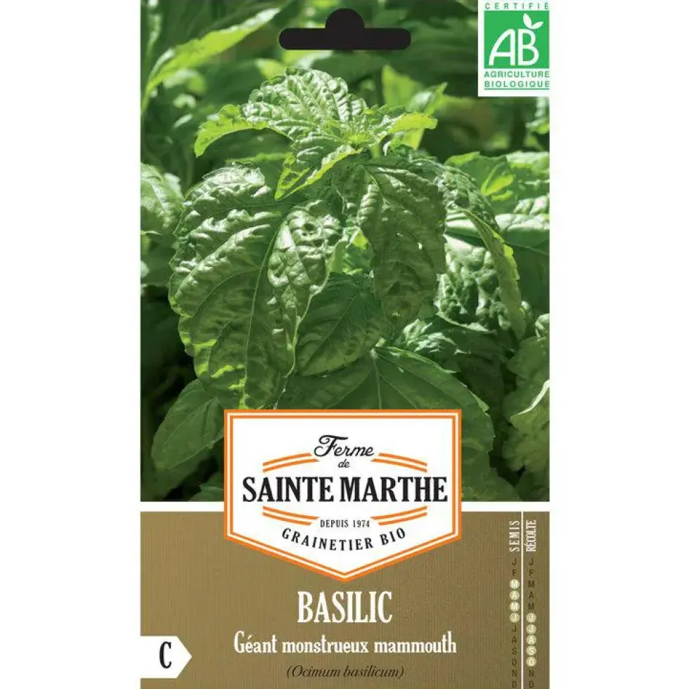 Graines de basilic géant mammouth bio Ferme de Sainte Marthe - graines à semer