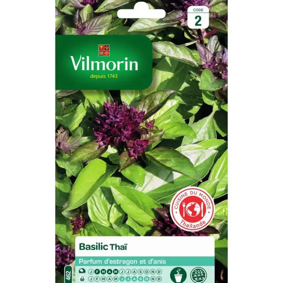 Graines de basilic thaï Vilmorin - graines à semer