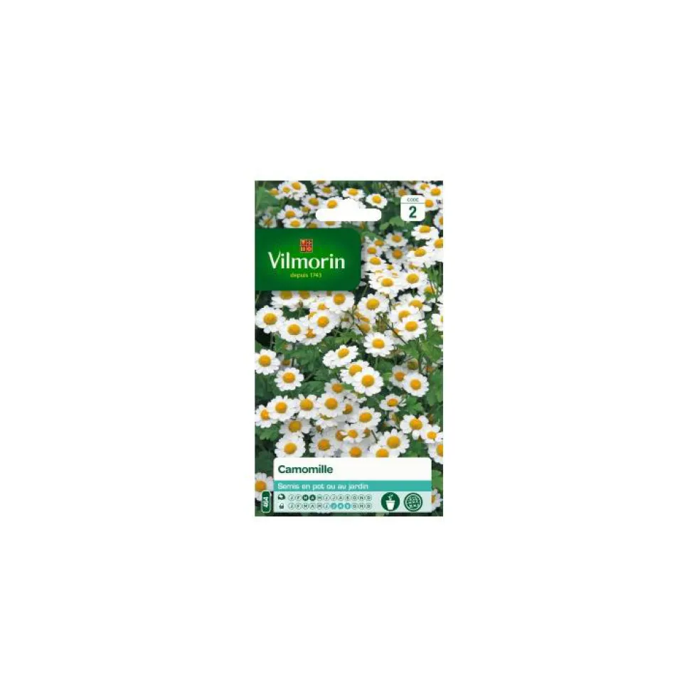 Graines de Camomille Vilmorin - graines à semer