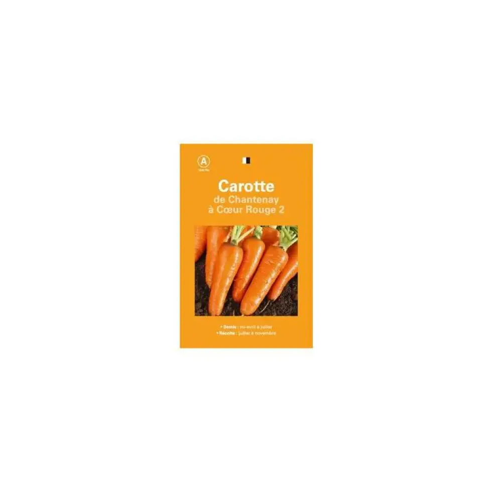 Graines de carotte chantenay cœur rouge 2 sélection premier prix - graines à semer