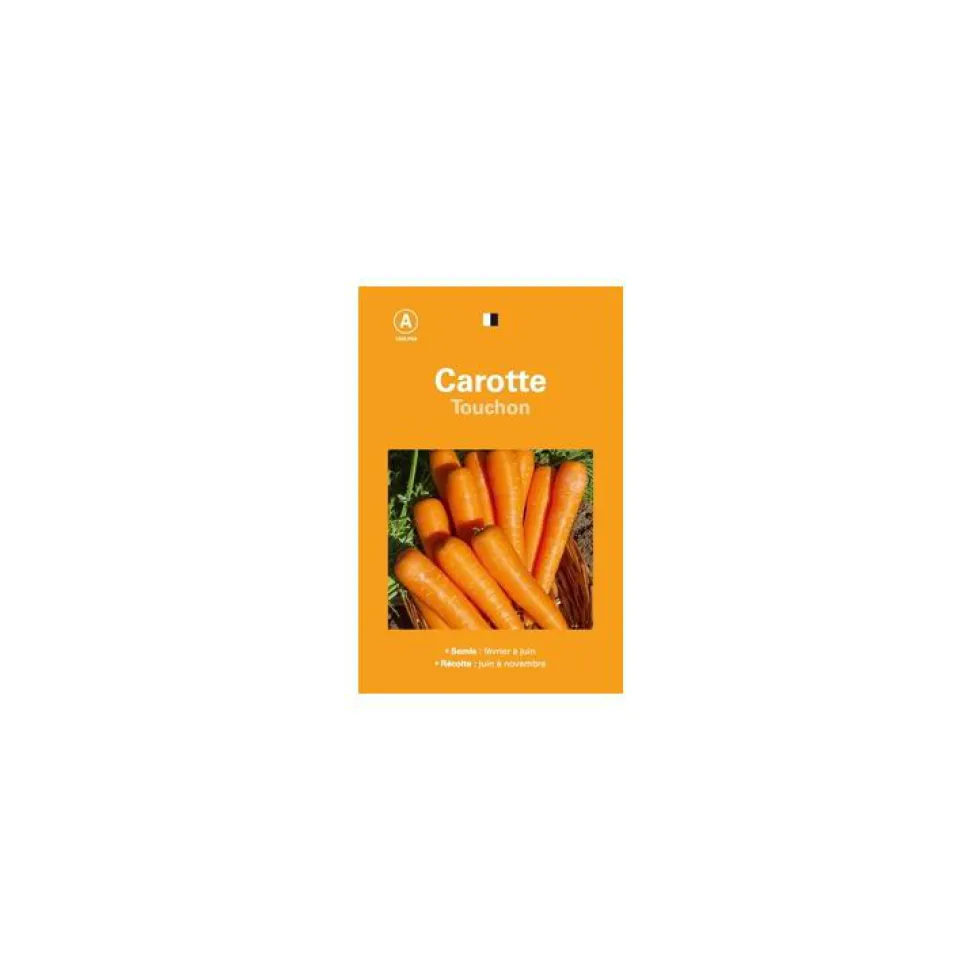 Graines de carotte touchon sélection premier prix - graines à semer