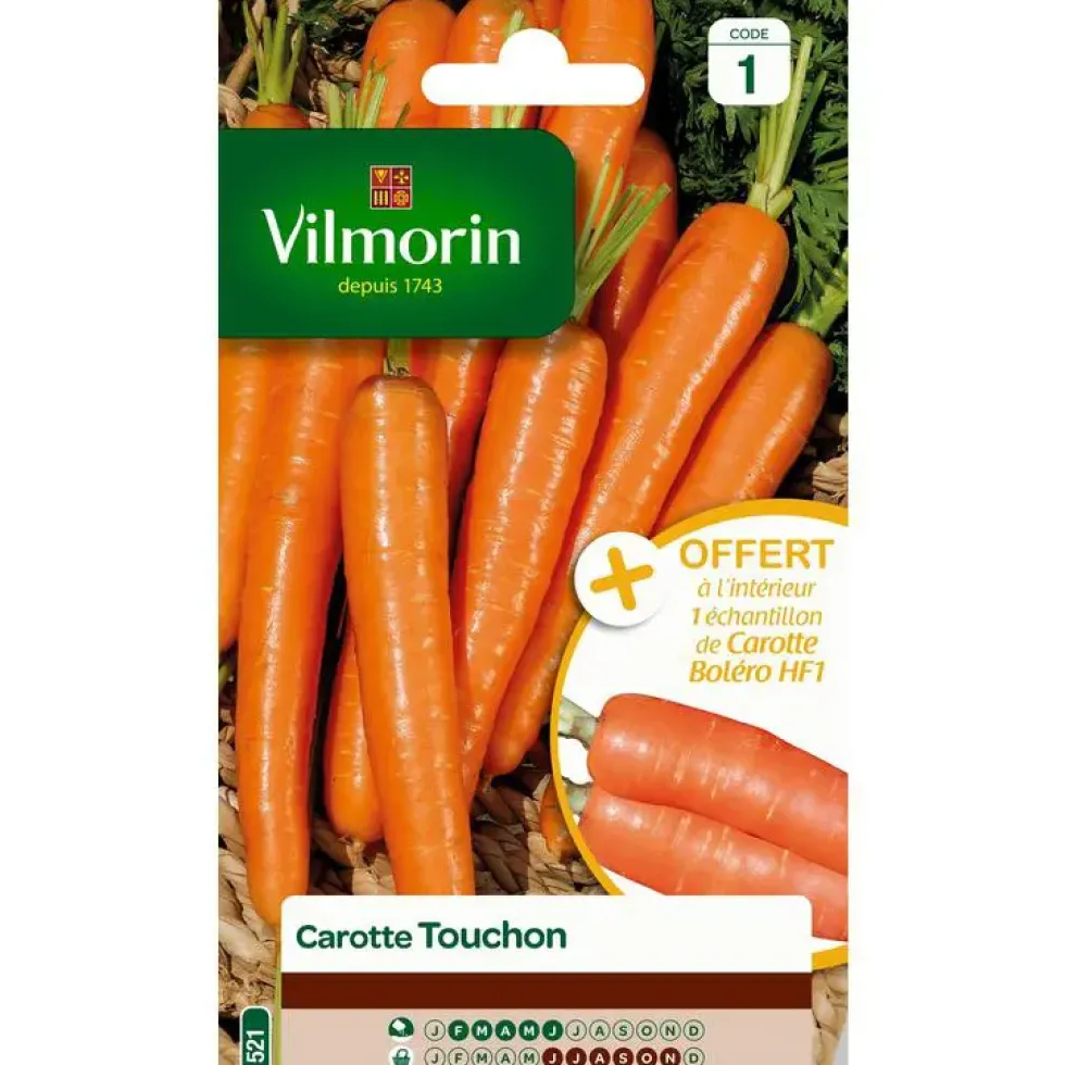 Graines de carotte touchon Vilmorin orange - graines à semer