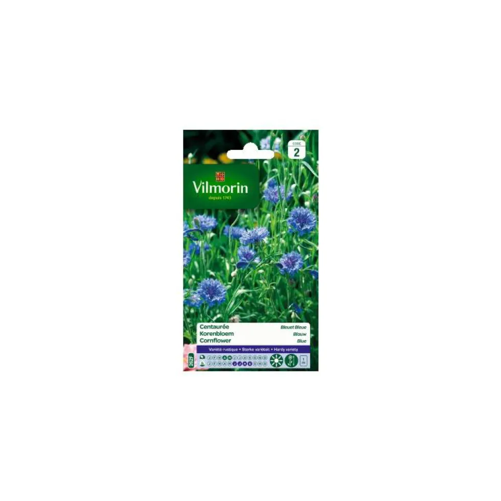 Graines de Centaurée bleuet bleu Vilmorin - graines à semer