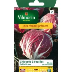 Graines de chicorée à feuilles palla rossa Vilmorin - graines à semer