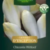 Graines de chicorée flexine coloris blanc Vilmorin jardin - graines à semer