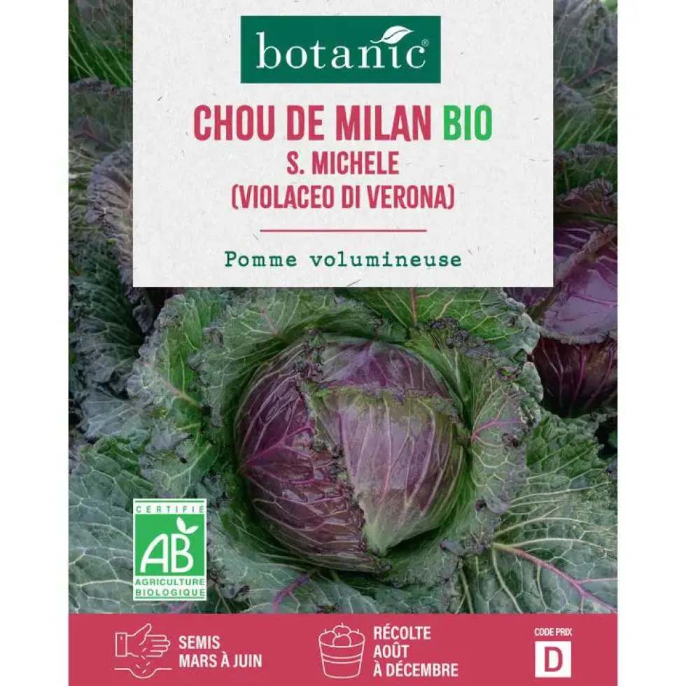 Graines de Chou de milan saint Michèle bio botanic® - graines à semer