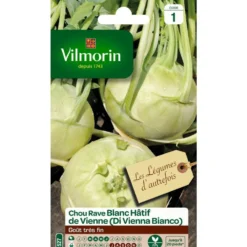 Graines de choux rave blanc hatif de Vienne Vilmorin - graines à semer