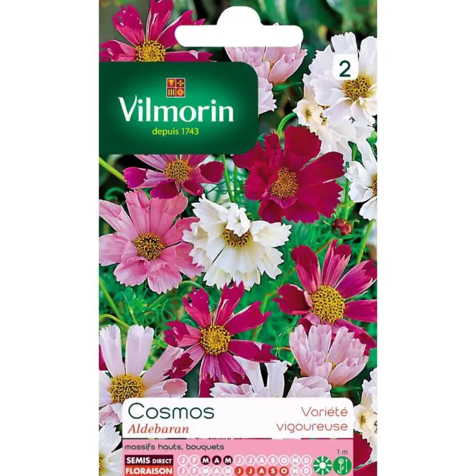 Graines de Cosmos Aldebaran varié Vilmorin - graines à semer