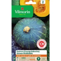 Graines de courge Kabocha green Hokkaïdo Vilmorin - graines à semer