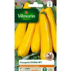 Graines de Courgette Orélia HF1 Vilmorin - graines à semer