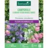 Graines de fleurs de Campanule à grosse fleur double variée botanic®