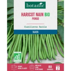 Graines de haricot nain pongo extra-fin sans fil bio botanic® - graines à semer