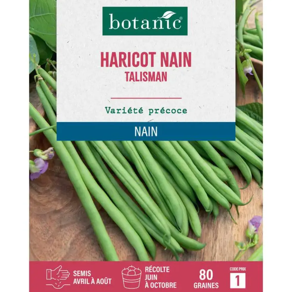 Graines de haricot nain talisman extra-fin sans fil botanic® - graines à semer