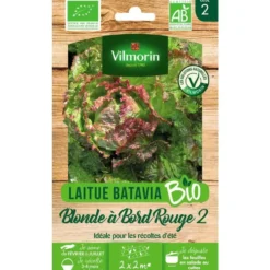 Graines de laitue blonde à bord rouge 2 bio Vilmorin - graines à semer