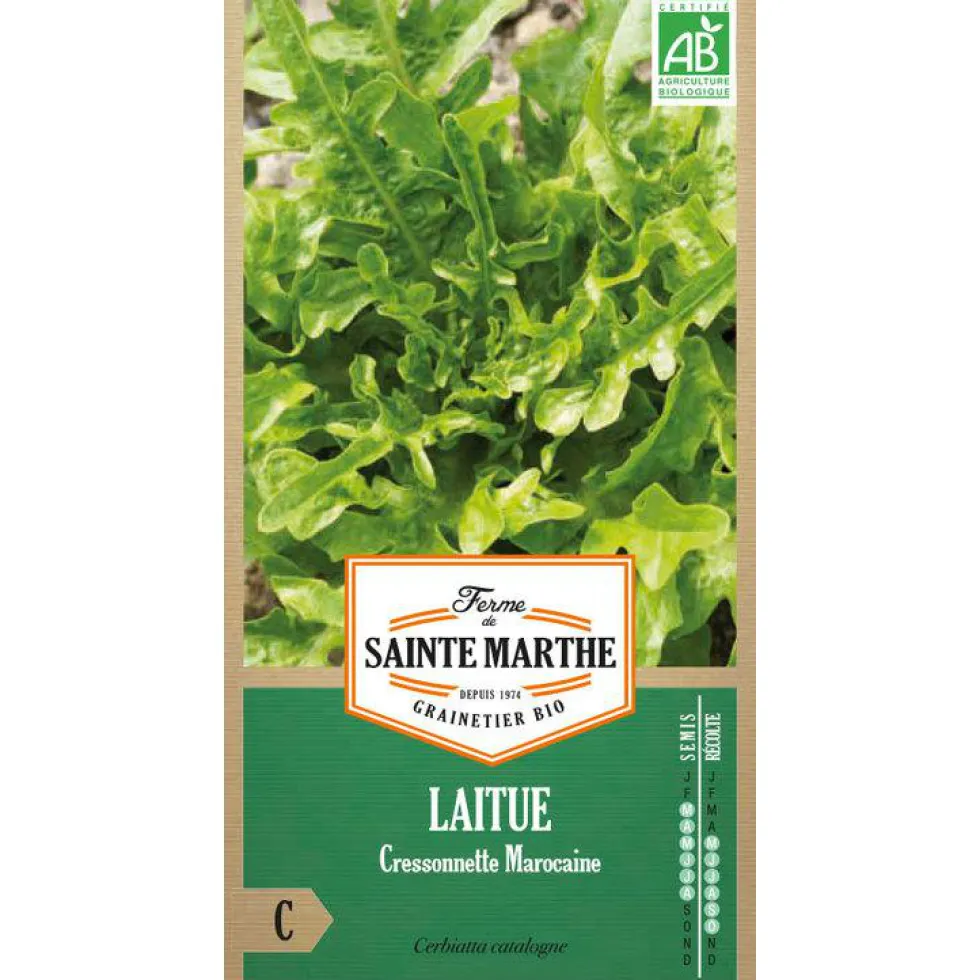 Graines de laitue cressonnette marocaine bio Ferme de Sainte Marthe - graines à semer