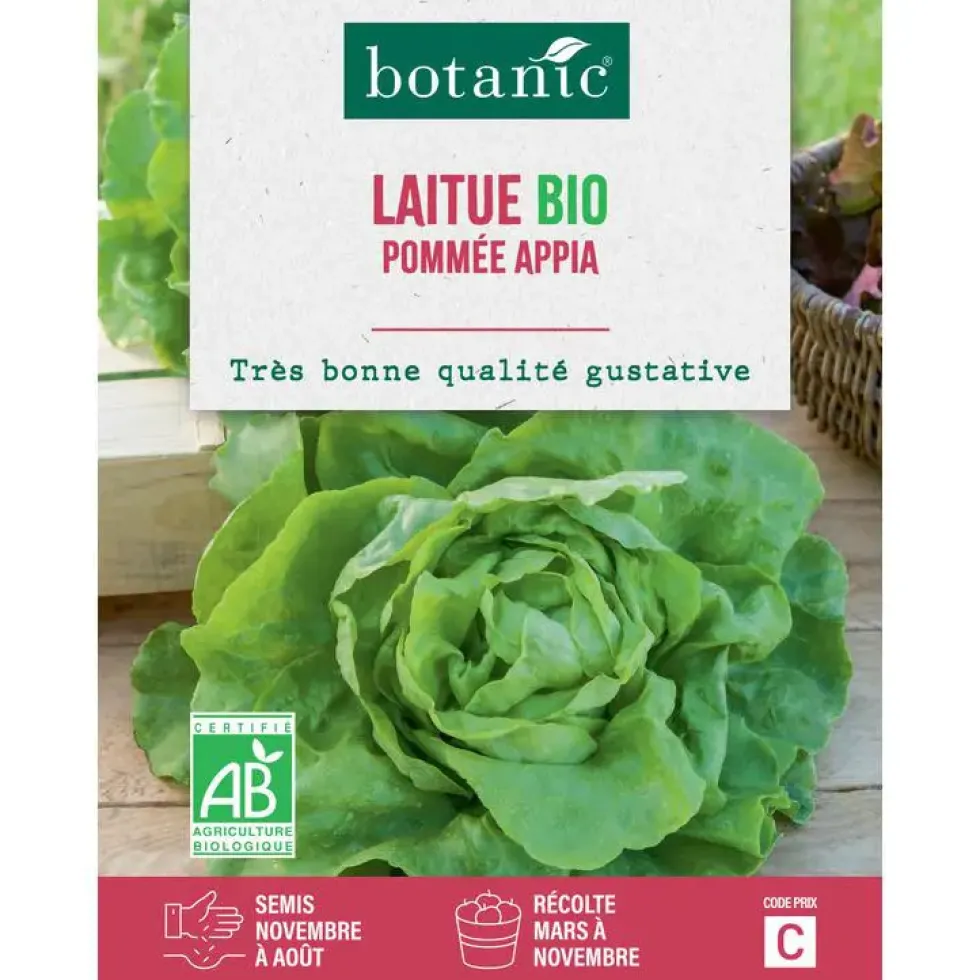 Graines de laitue pommée appia bio botanic® - graines pommée semer