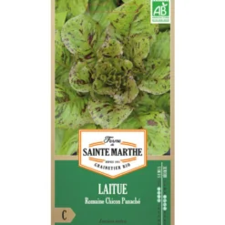 Graines de Laitue romaine chicon panaché bio Ferme de Sainte Marthe - graines à semer