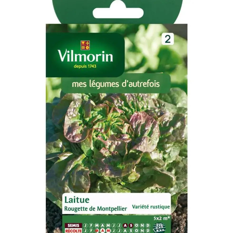 Graines de laitue rougette de Montpellier Vilmorin - graines à semer
