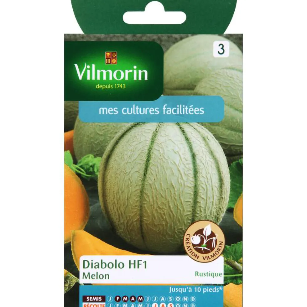 Graines de melon diabolo Vilmorin - graines à semer