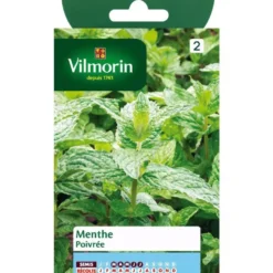 Graines de menthe poivrée Vilmorin - graines à semer