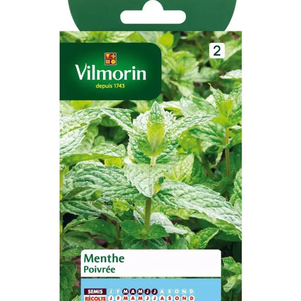 Graines de menthe poivrée Vilmorin - graines à semer