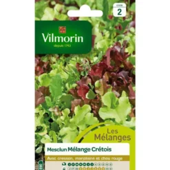 Graines de mesclun mélange crétois Vilmorin - graines à semer