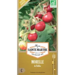 Graines de Morelle de Balbis bio Ferme de Sainte Marthe - graines à semer