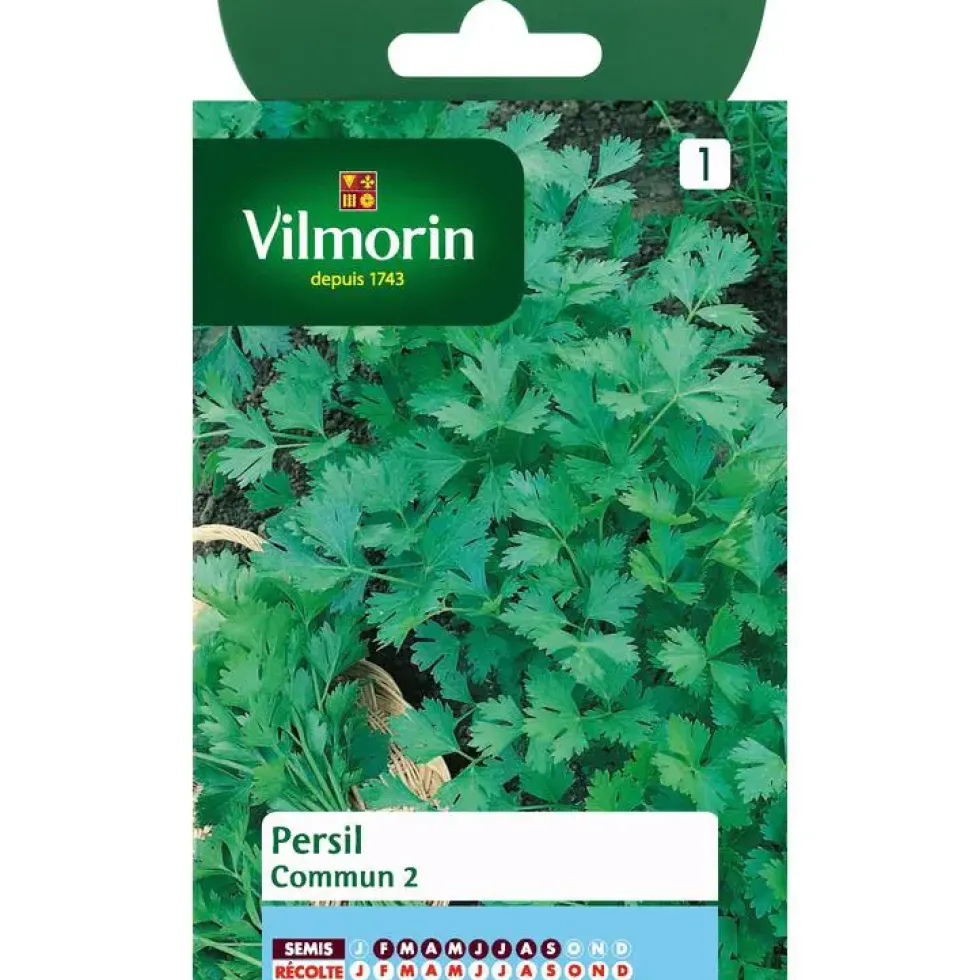 Graines de persil commun Vilmorin - graines à semer
