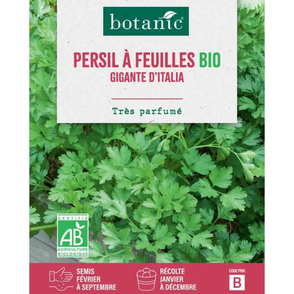 Graines de persil géant d'Italie bio botanic® - graines à semer