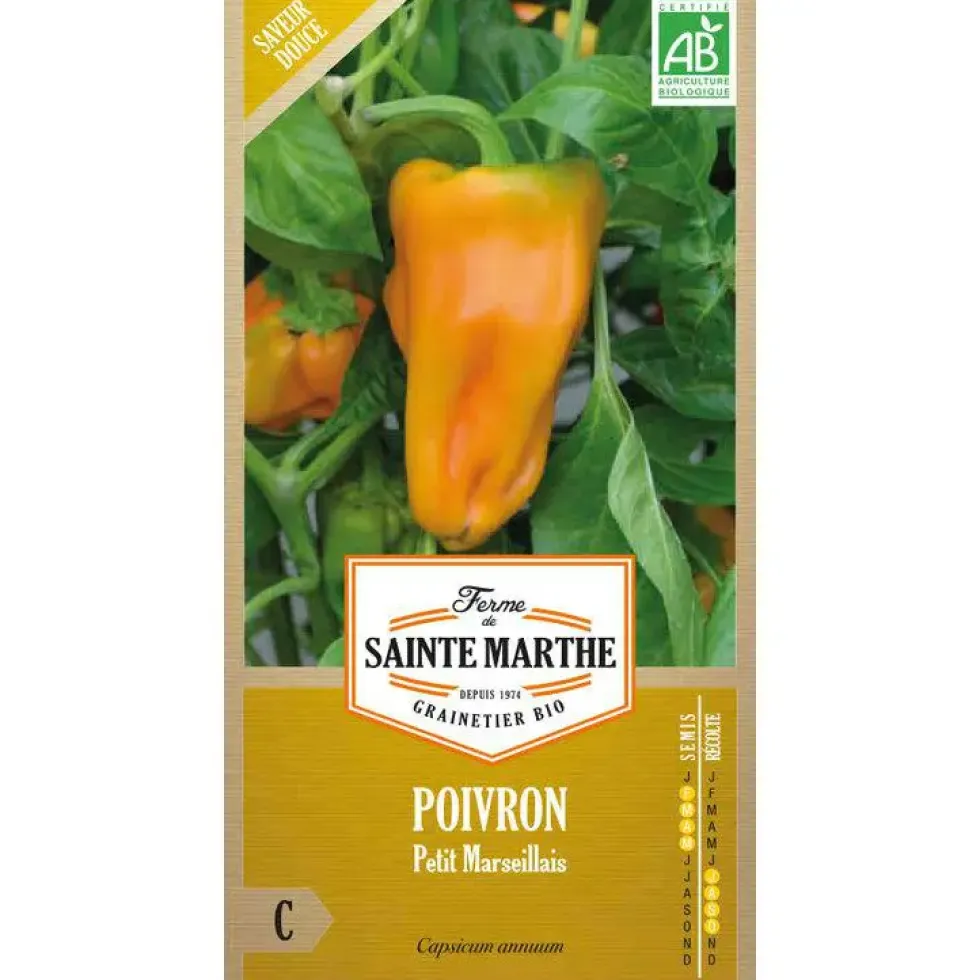 Graines de poivron Petit Marseillais bio Ferme de Sainte Marthe - graines à semer