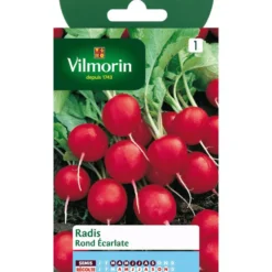 Graines de radis rond écarlate Vilmorin - graines à semer