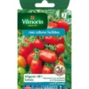 Graines de tomate aligote HF1 Vilmorin - graines à semer