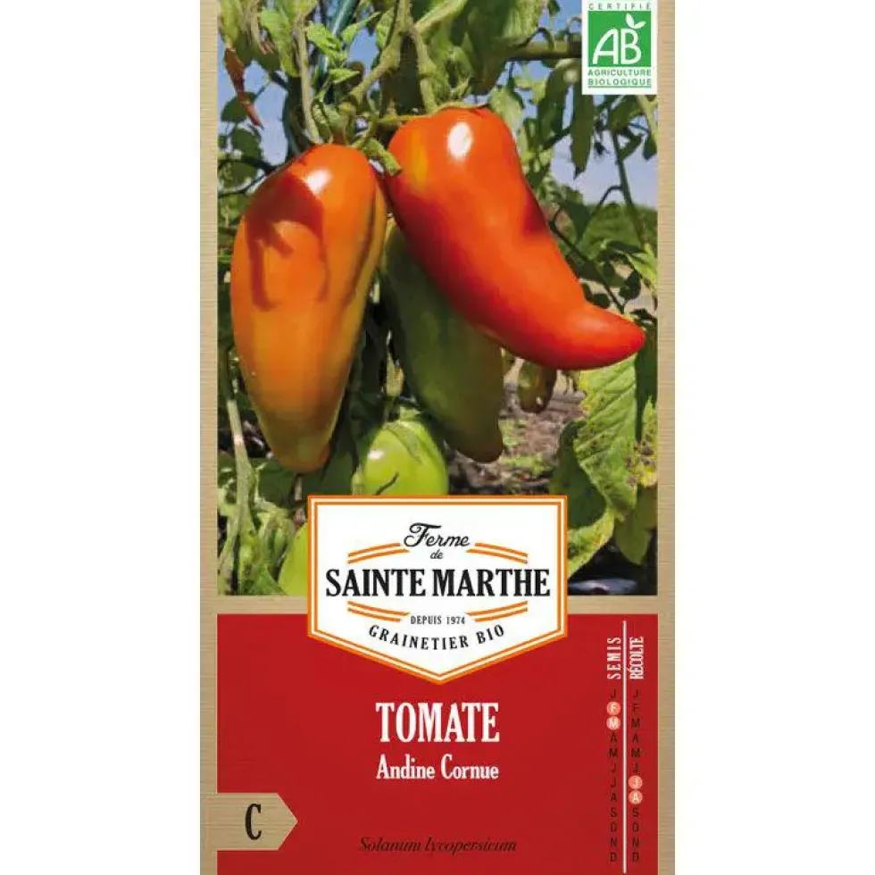 Graines de tomate andine cornue bio Ferme de Sainte Marthe - graines à semer