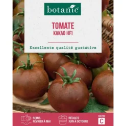 Graines de tomate kakao HF1 botanic® - graines à semer