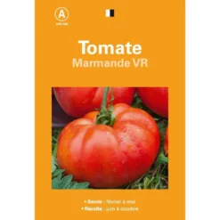 Graines de tomate marmande premier prix - graines à semer