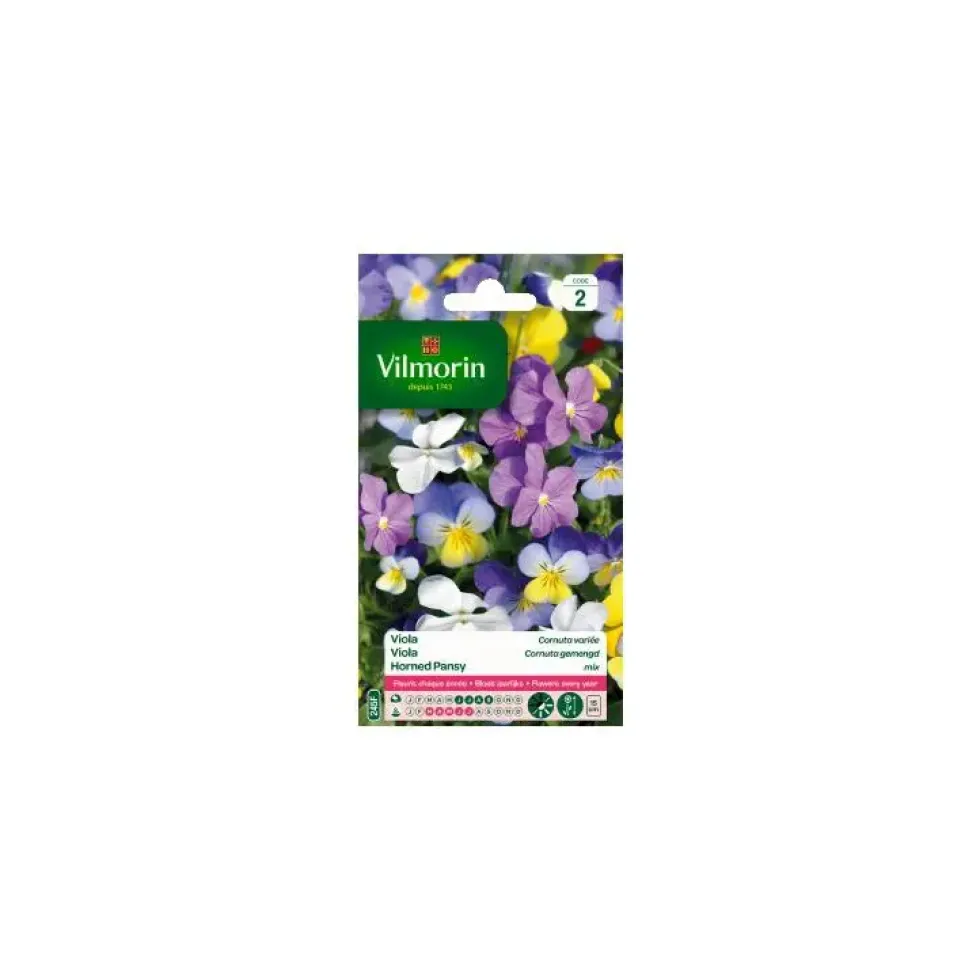 Graines de Violette Cornue variée Vilmorin - graines à semer